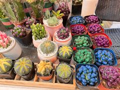 -双季花艺园艺市场(浦东店)