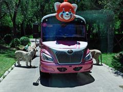 -北京野生动物园