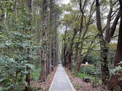 -同里国家湿地公园