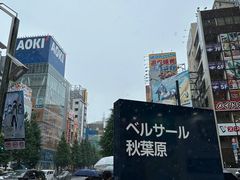 -秋叶原电器街