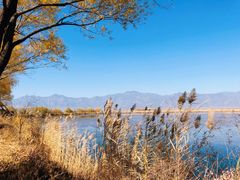 -野鸭湖国家湿地公园