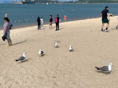-海驴岛(荣成市)