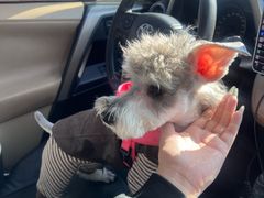 -FAELING PETS美天灵宠物(合生汇店)