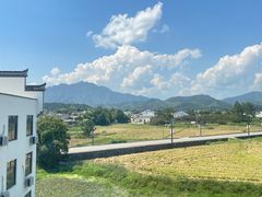 -黄牛肉馆·皖南土菜