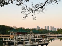 -东湖落雁景区