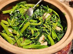 云南傣味空心菜-旺爷砂锅·茶作(国贸城店)