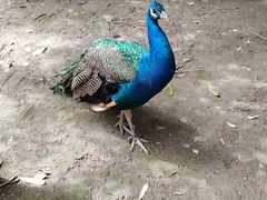 -贵州森林野生动物园