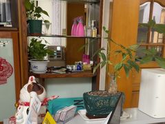 -静沐人生养生馆(佳宁娜分店)