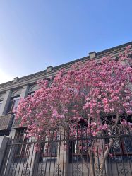 -北京大学第一医院妇产儿童医院