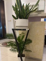 -香秀空间科技抗衰·美容中心