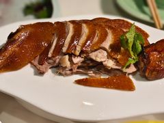 -北平盛世·新京菜·北京烤鸭(劲松·双井店)