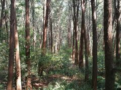 -同里国家湿地公园