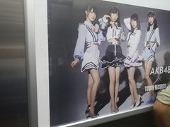 -秋叶原电器街