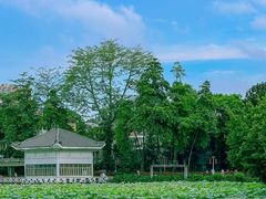 -荔湾湖公园