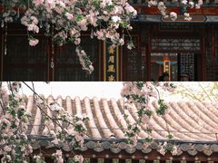 -荣国府
