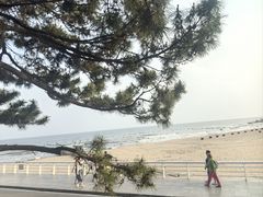 -老虎石海上公园