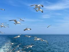 -海驴岛(荣成市)