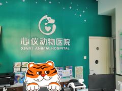 -心仪动物医院·牙专科·肿瘤·心脏科(西客站院)