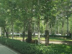-秦皇岛野生动物园