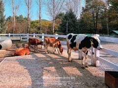 -哈尔滨北方森林动物园