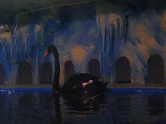 -常州海昌海洋探索馆