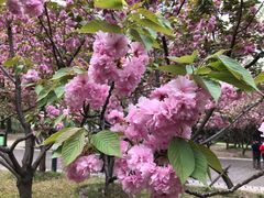 -苏州河梦清园环保主题公园