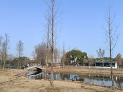 -西山漾湿地公园