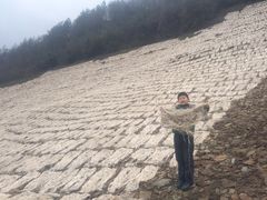 -中国宣纸文化园