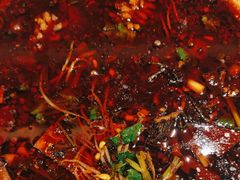-蜀厨小匠·民间川菜(犀浦店)