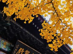 -红螺寺