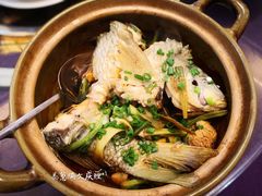 文庆鲤-荣华酒楼(鼎湖区店)