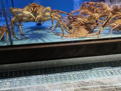 -阿伟海鲜楼·福建菜(延寿店)