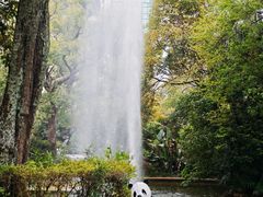 -九龙公园