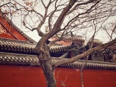 -大雁塔北广场音乐喷泉