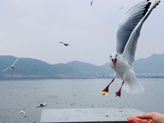 -海埂大坝