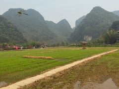 -靖西鹅泉风景区