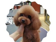 -沐沐家宠物(成寿寺店)