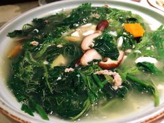 上汤桑叶苗-大榕树下顺德菜(融创茂店)