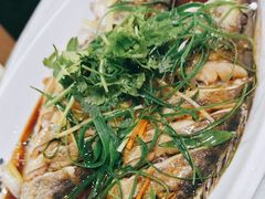 -掌勺人鱼馆(朝阳镇店)