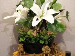 -金陵暴走小龙虾·迷踪蟹(凯德MALL店)