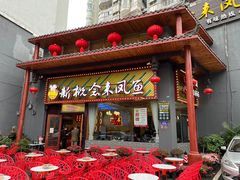 -新概念来凤鱼(璧山店)