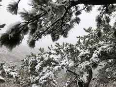 -香山公园