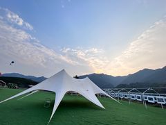 -龙坞茶村