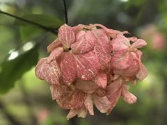 -聚龙山公园