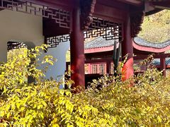 -堤角公园