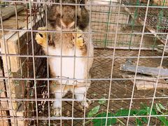 -草根堂农场