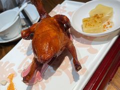 -大鸽饭(岗顶店)