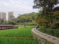 -龙头寺公园