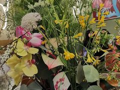 -PlantsEatery·植物食堂(REX春熙店)