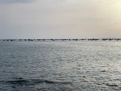 -大连金石滩国家旅游度假区